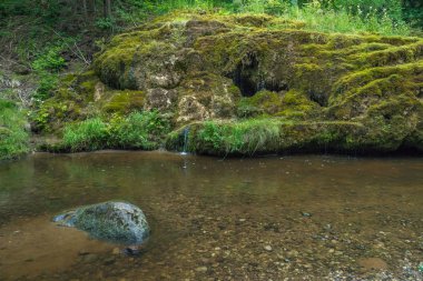 Letonya, şehir Rauna, şelale Raunas staburags. Nehir ve gre