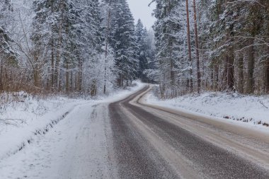 Kar, ağaçlar ve güzel peyzaj. Hava taze ve beyaz.