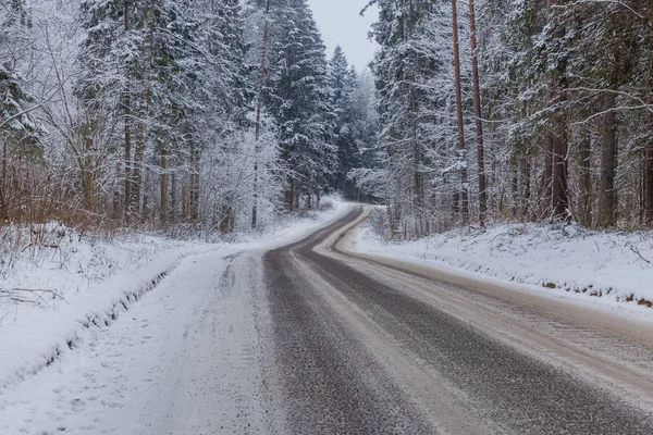 Kar, ağaçlar ve güzel peyzaj. Hava taze ve beyaz.