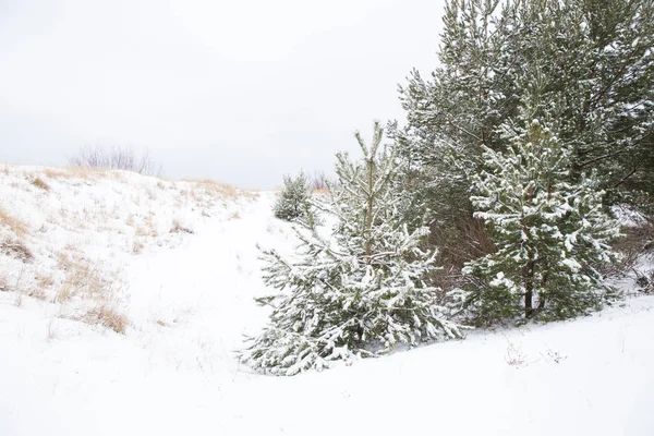 Hiver en Lettonie, mer Baltique. Froid et frais, janvier . — Photo