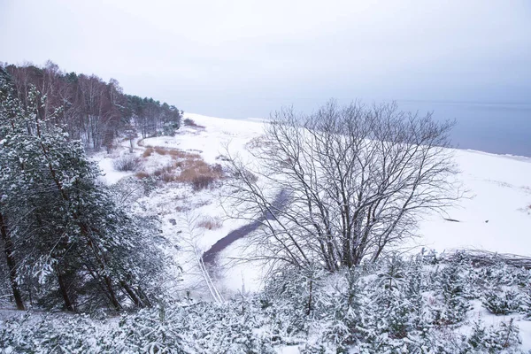 Inverno e mare baltico. Natura, alberi e cielo. Foto di viaggio . — Foto Stock