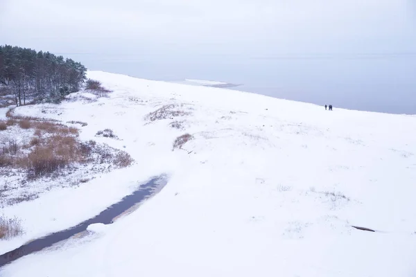 Winter und Ostsee. Natur, Bäume und Himmel. Reisefoto. — Stockfoto