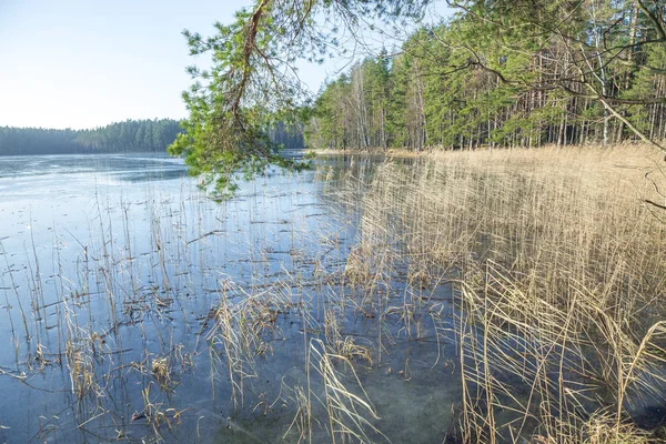 Lago e ar fresco. Dia ensolarado na Letônia, Cesis . — Fotografia de Stock