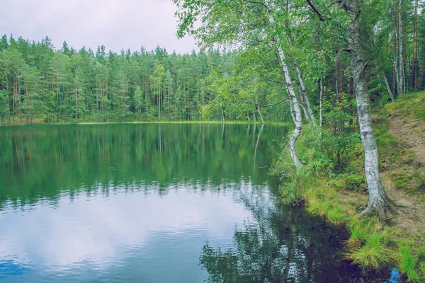 See bei Latgale, Lettland. frische Luft und saubere Natur. Reisefieber — Stockfoto