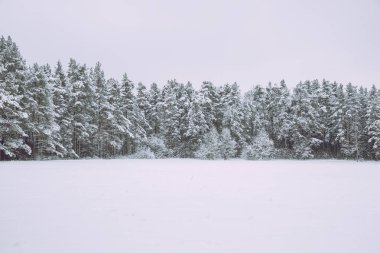 Donmuş göl, kar ve soğuk hava. Letonya, seyahat fotoğraf.