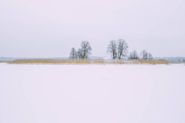 Donmuş göl, kar ve soğuk hava. Letonya, seyahat fotoğraf.
