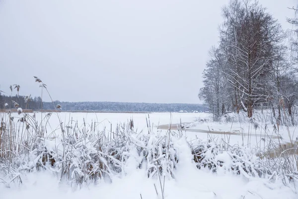 Lac gelé, neige et froid. Lettonie, photo de voyage . — Photo