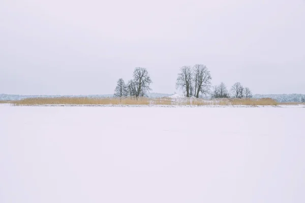 Lac gelé, neige et froid. Lettonie, photo de voyage . — Photo