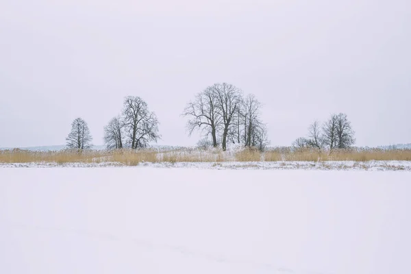 Lac gelé, neige et froid. Lettonie, photo de voyage . — Photo