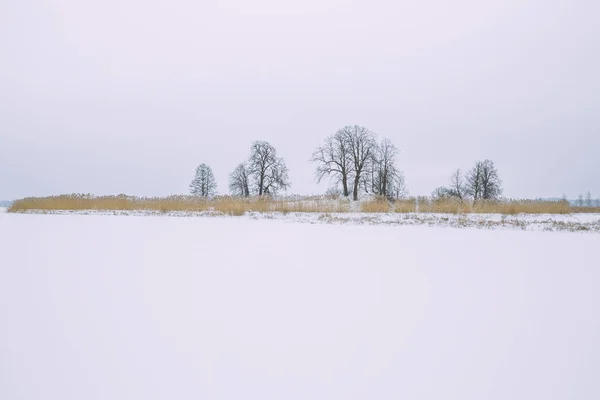 Frusen sjö, snö och kallt väder. Lettland, resa foto. — Stockfoto