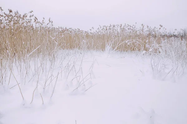 Zugefrorener See, Schnee und Kälte. Lettland, Reisefotos. — Stockfoto