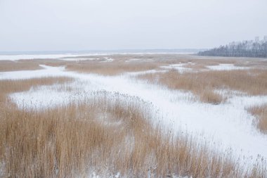 Lake Kanieris, Letonya'da Kuş Gözlem Kulesi. 2018