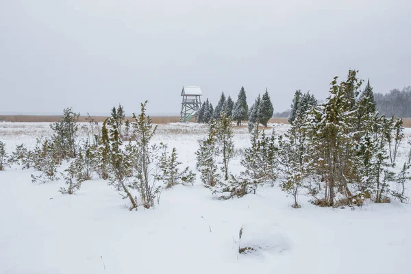 Vogelbeobachtungsturm in Lake Kanieris, Lettland. 2018 — Stockfoto