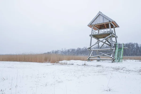 Bird watching tower in lake Kanieris, Latvia. 2018 — Stock Photo, Image