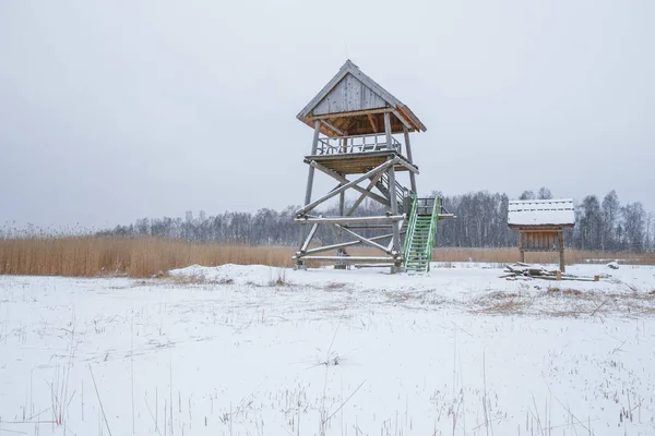 Vogelbeobachtungsturm in Lake Kanieris, Lettland. 2018 — Stockfoto