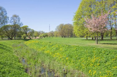 Zafer Parkı, Riga, Letonya, 2018.