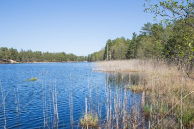 Carnikava, güneş ve gölde. 2018