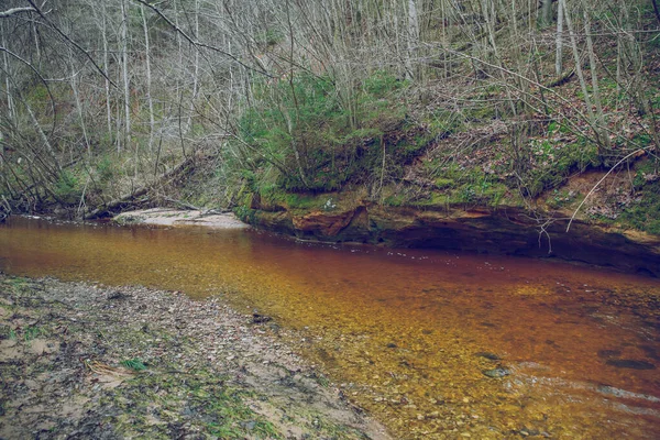 Stadt cesis, Lettland. Bewachsener Fluss mit Wald und alten Bäumen. Nein. — Stockfoto