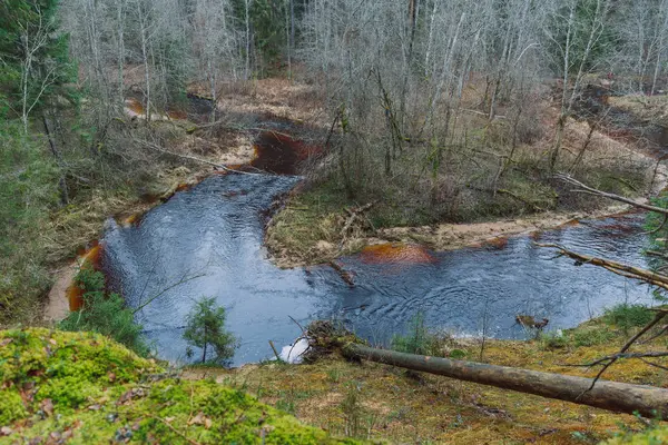 City Cesis, Letónia. No meio da floresta há um rio — Fotografia de Stock