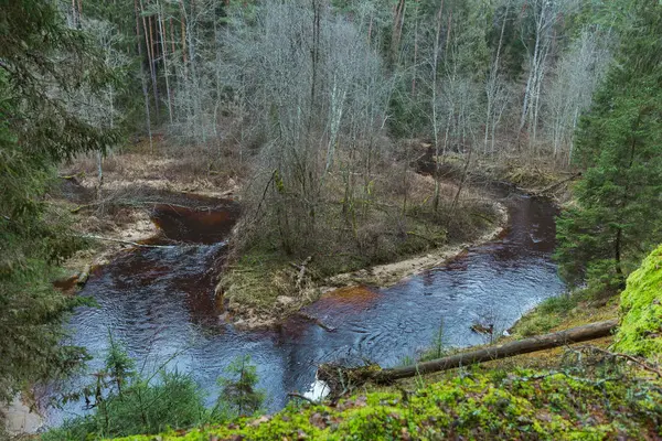 City Cesis, Letónia. No meio da floresta há um rio — Fotografia de Stock