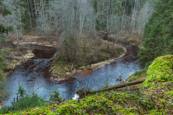 City Cesis, Letónia. No meio da floresta há um rio — Fotografia de Stock