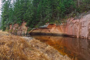 Cesis şehri, Letonya. Kırmızı kayalar ve Amata nehri. Doğa ve yeşil
