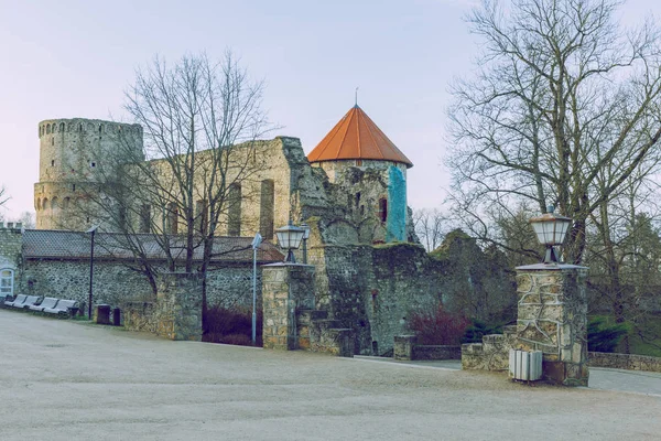 Ciudad Cesis, República de Letonia. Castillo del siglo XIII con parque en wi — Foto de Stock