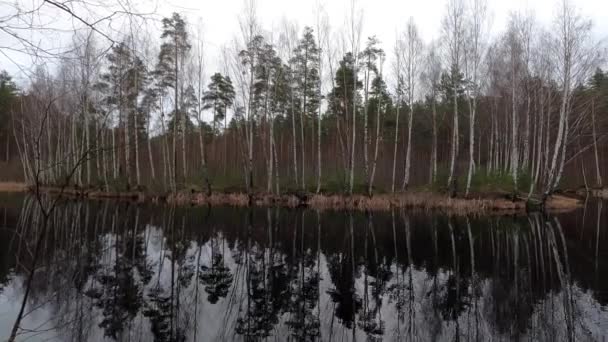 Stad Riga Letland Mire Meer Met Berken Bruin Water 2020 — Stockvideo