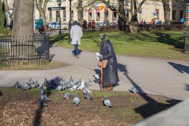 Riga Şehri, Letonya. Sokakta kuşları besleyen yetişkin kadın..
