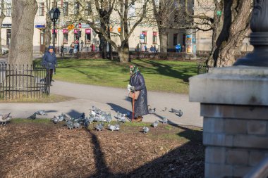 Riga Şehri, Letonya. Sokakta kuşları besleyen yetişkin kadın..