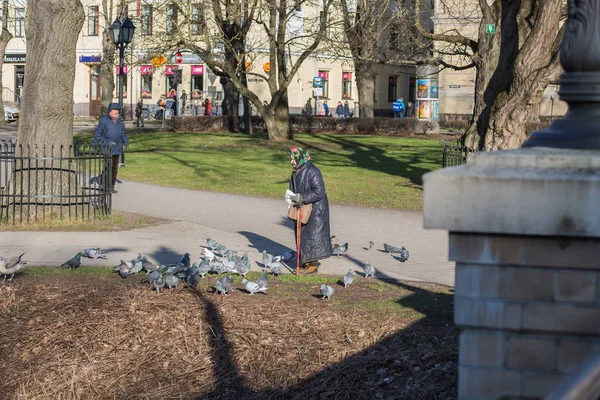 Riga Şehri, Letonya. Sokakta kuşları besleyen yetişkin kadın.. — Stok fotoğraf