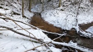 Sigulda şehri, Letonya. Kışın kum kayası ve karlı küçük bir nehir. Seyahat videosu. 29.02.2020