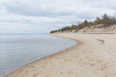 Letonya, Carnikava Şehri. Baltık Denizi kıyısında kum ve ağaçlarla yürüme yeri. 07.03.2020