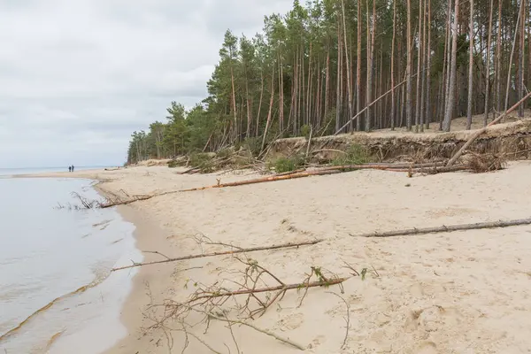 Città Carnikava Lettonia Luogo Passeggiata Lungo Mar Baltico Con Sabbia — Foto Stock