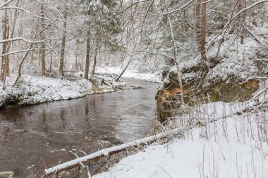 Ligatne Şehri, Letonya. Kışın kumtaşı kayalıkları ve mağaraları olan nehir. 14.03.2020