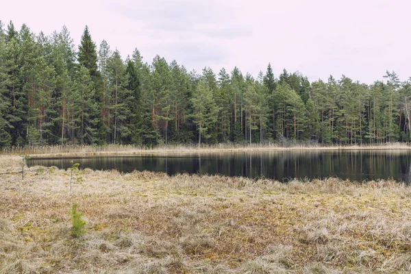 Stadt Smiltene Lettland Bäume Und Gras Rund Den See Ruheplatz — Stockfoto