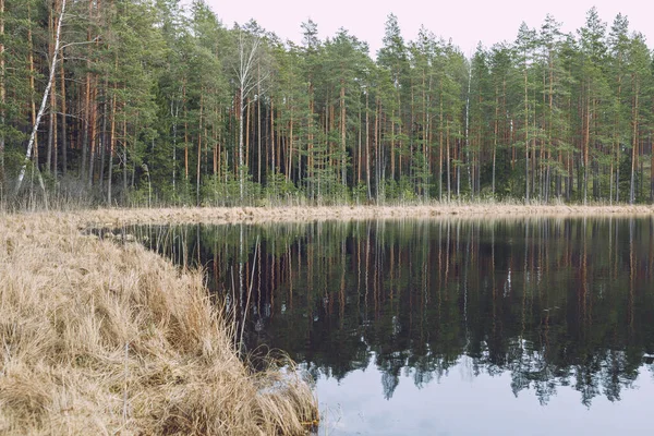 Stadt Smiltene Lettland Bäume Und Gras Rund Den See Ruheplatz — Stockfoto