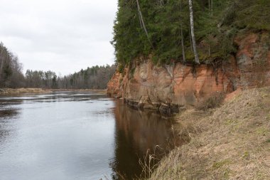Cesis şehri, Letonya. İlkbaharda kumtaşı kayalıkları ve mağaraları olan nehir. 02.04.2020