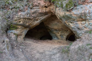 Sigulda şehri, Letonya. Tarihi kum kayalıkları ve doğa. Seyahat fotoğrafı. 04.04.2020