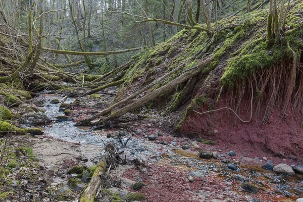 Sigulda Şehri Letonya Tarihi Kil Kayalıkları Nehir Seyahat Fotoğrafı 2020 — Stok fotoğraf