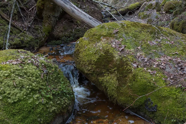 Sigulda Şehri Letonya Nehir Kayalar Suyla Seyahat Fotoğrafı 2020 — Stok fotoğraf