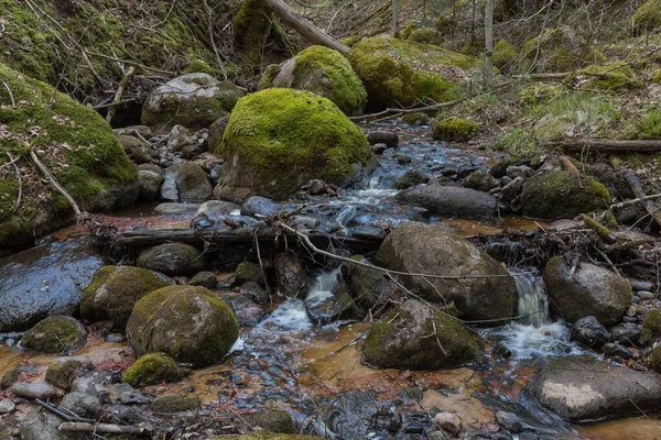 City Sigulda Latvia River Rocks Water Travel Photo 2020 — Stock Photo, Image