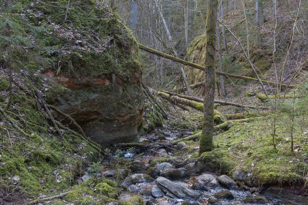 Sigulda Şehri Letonya Nehir Kayalar Suyla Seyahat Fotoğrafı 2020 — Stok fotoğraf