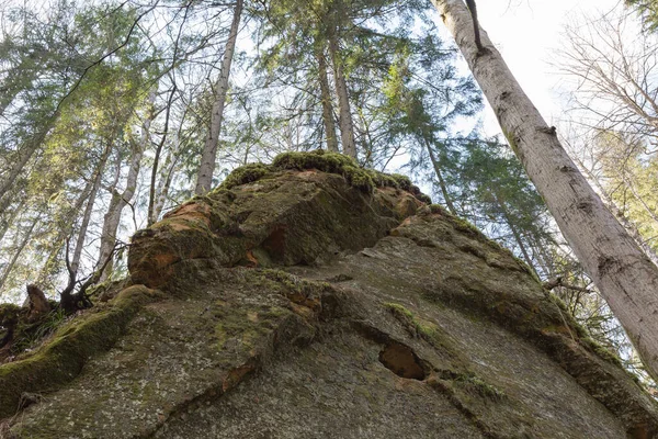 Sigulda Şehri Letonya Tarihi Kum Kayalıkları Ağaçlar Seyahat Fotoğrafı 2020 — Stok fotoğraf