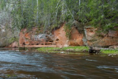Cesis şehri, Letonya. İlkbaharda kumtaşı kayalıkları ve mağaraları olan nehir. 26.04.2020