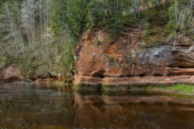 Cesis şehri, Letonya. İlkbaharda kumtaşı kayalıkları ve mağaraları olan nehir. 26.04.2020