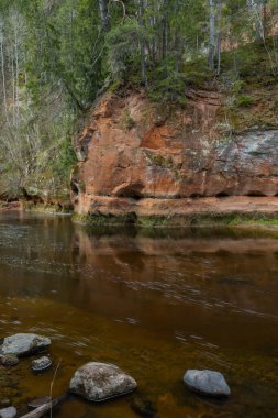 Cesis şehri, Letonya. İlkbaharda kumtaşı kayalıkları ve mağaraları olan nehir. 26.04.2020