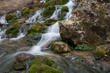 Cesis şehri, Letonya. Yeşil yosun ve dolomit kayaları olan eski şelale. 19.04.2020