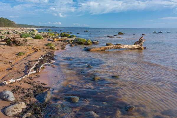 City Tuja Letónia Mar Báltico Com Rochas Sol Fotografia Viagem — Fotografia de Stock