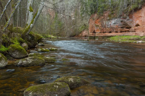 Cesis Şehri Letonya Lkbaharda Kumtaşı Kayalıkları Mağaraları Olan Nehir 2020 — Stok fotoğraf